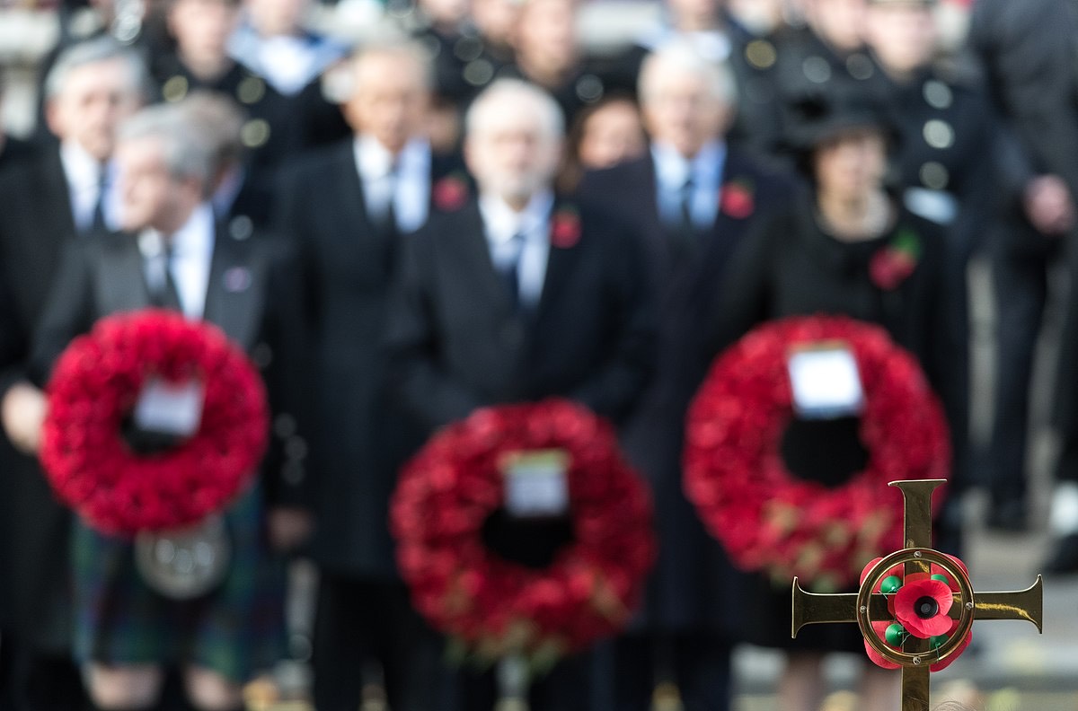 Red poppies worn on Remembrance Day to honour those who died in war